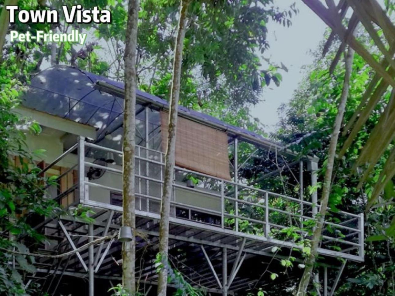 Gibbon Retreat Bentong Hotel Eksteriør billede