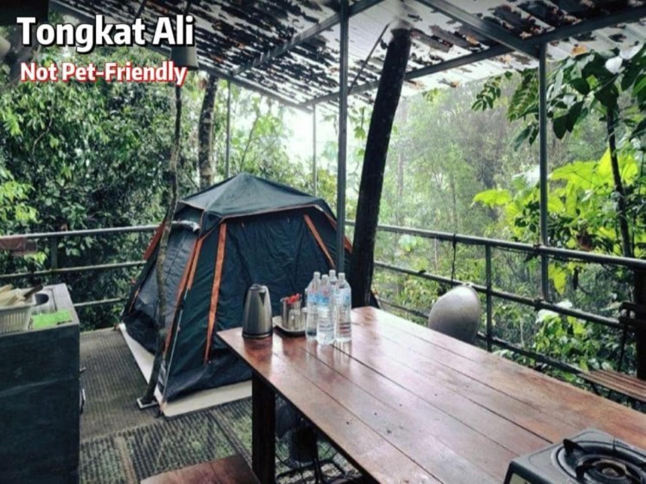 Gibbon Retreat Bentong Hotel Eksteriør billede