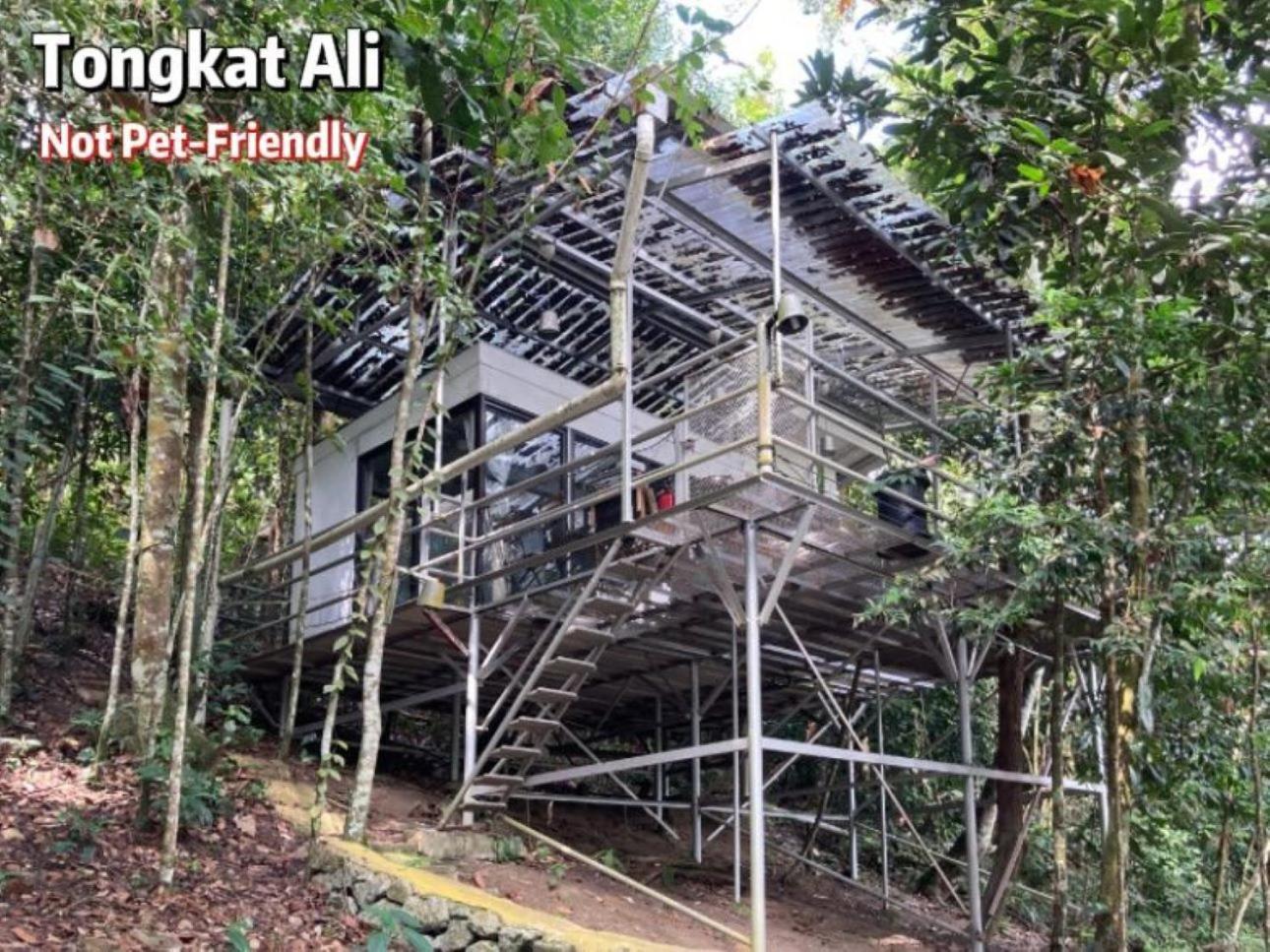 Gibbon Retreat Bentong Hotel Eksteriør billede