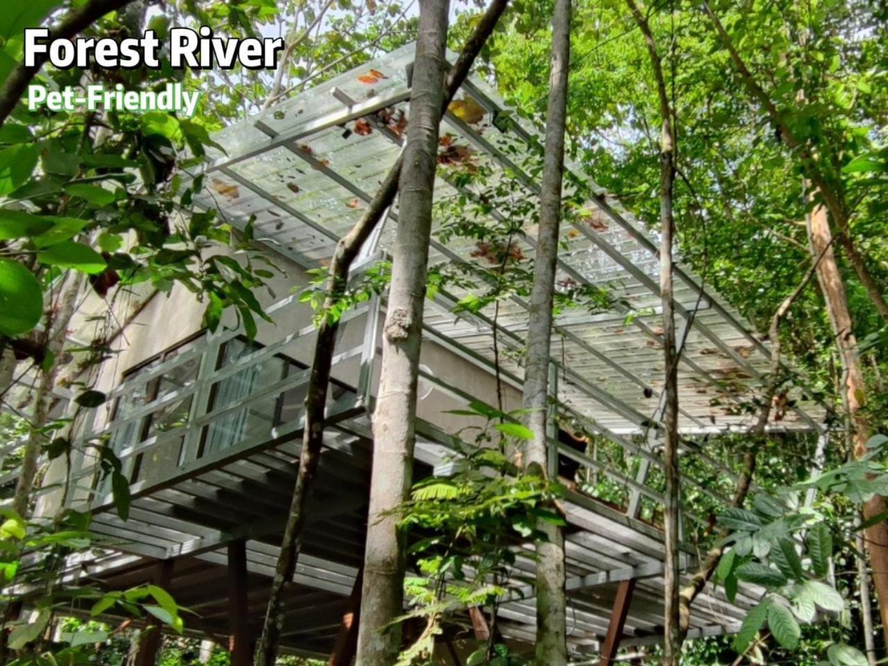 Gibbon Retreat Bentong Hotel Eksteriør billede